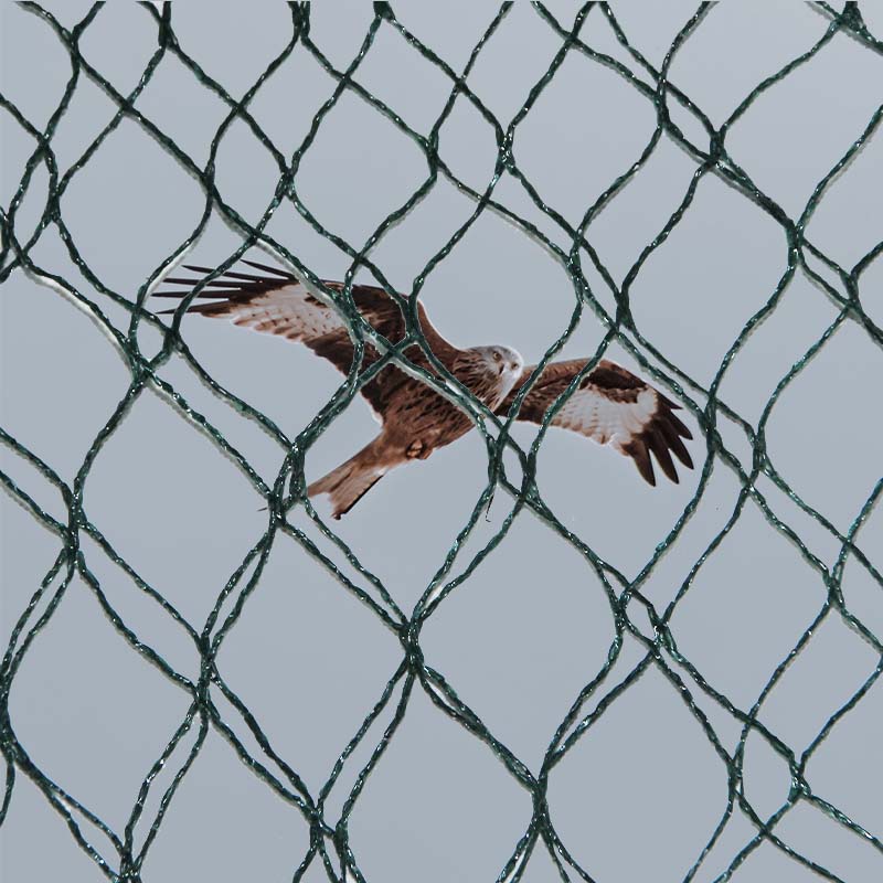 Cad iad na roghanna agus na buntáistí agus na míbhuntáistí ábhartha a bhaineann le líonta cosc ​​​​éan?