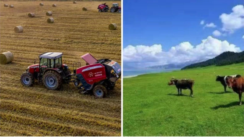 Cur i bhfeidhm líonta burlaí i ngníomhaíochtaí talmhaíochta
