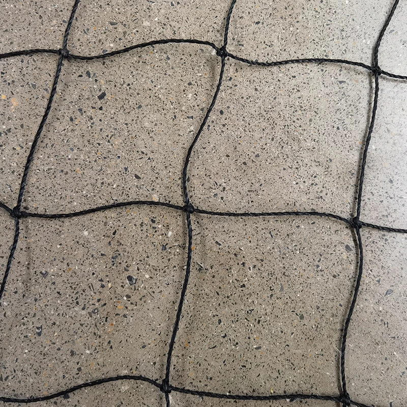 Ról na líonta cruicéad