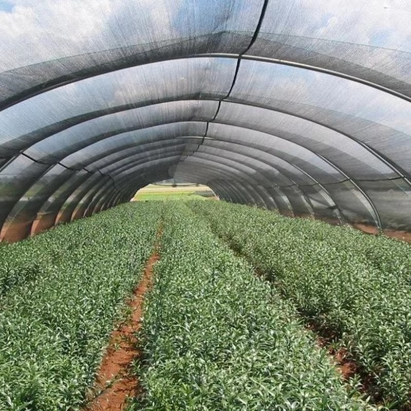 An bhfuil éifeacht fuaraithe éadach scáthaithe go maith?