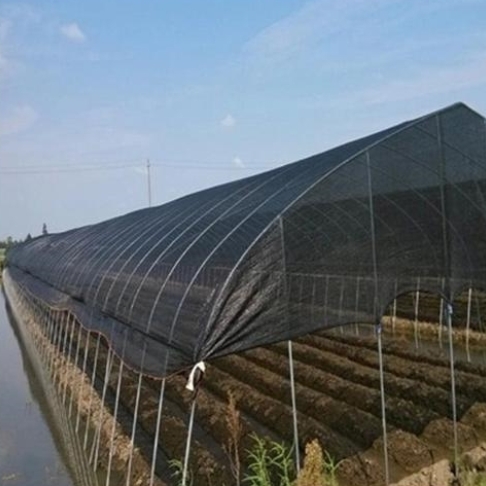 HDPE Sunshade Net