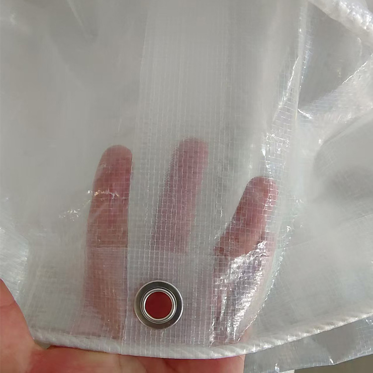 Tarp Corpoideachais Trédhearcach Dualgas Trom